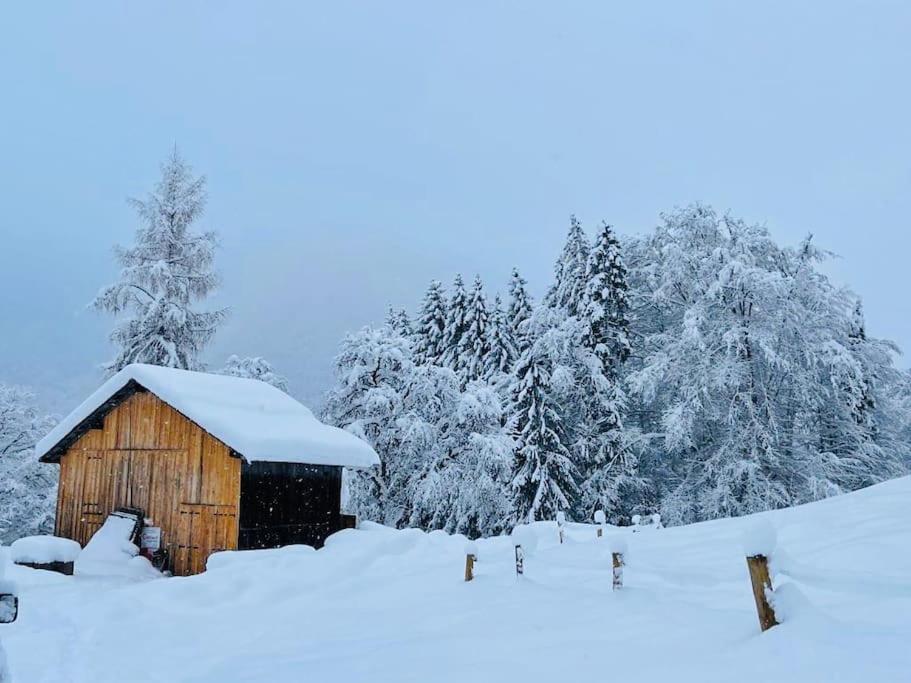 Le Chalet De Bemont Villa Samoëns Exterior foto