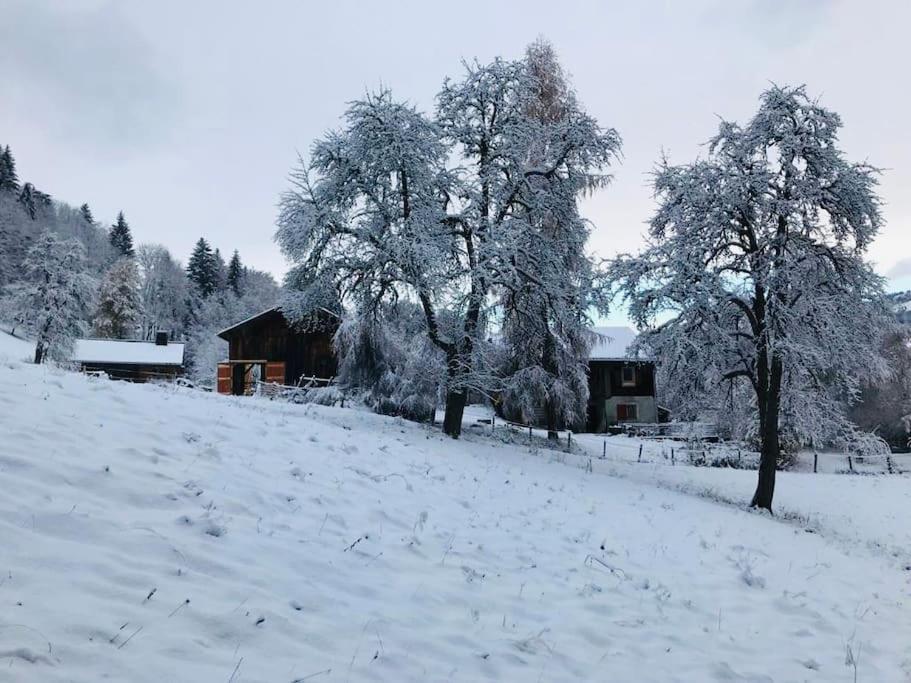 Le Chalet De Bemont Villa Samoëns Exterior foto