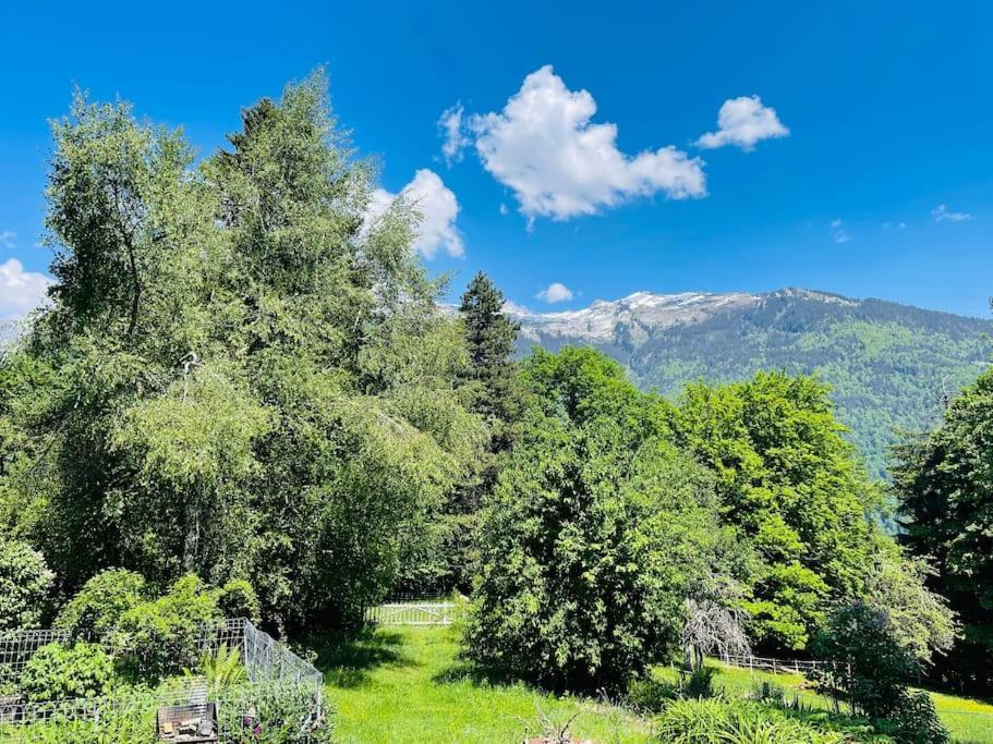 Le Chalet De Bemont Villa Samoëns Exterior foto